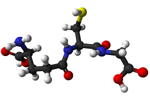 Antioxydant - Spiruline