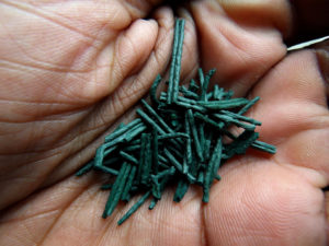 spiruline france