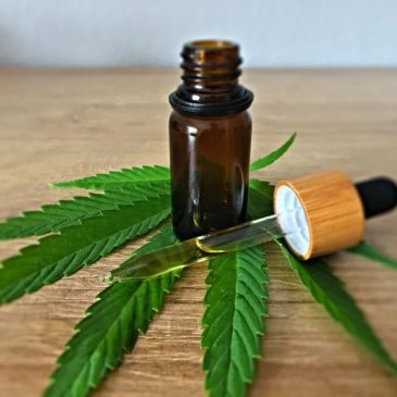 Comment l’huile de CBD aide à se détendre