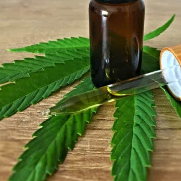 Consommer du CBD : bonne ou mauvaise idée ?