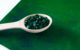 raisons de consommer de la spiruline